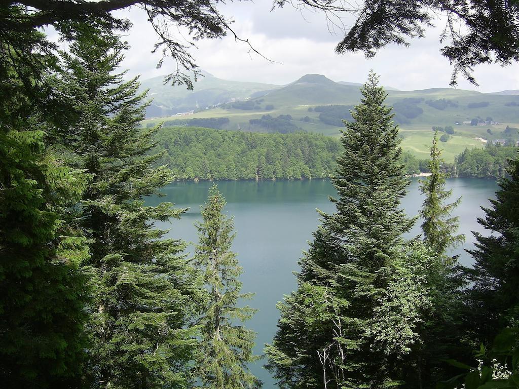 الشقق الفندقية Picherandeفي  Aux Balcons Du Sancy المظهر الخارجي الصورة
